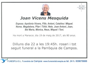 Joan Vicens Mesquida